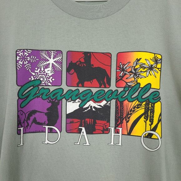 Vintage 90s Idaho Crew Neck Tee - Picture 2 of 9